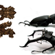Illustration for article titled Zerg Rushes, Suicide Attacks and Splash Damage: How Real Insect Warfare is Similar to emStarCraft/em
